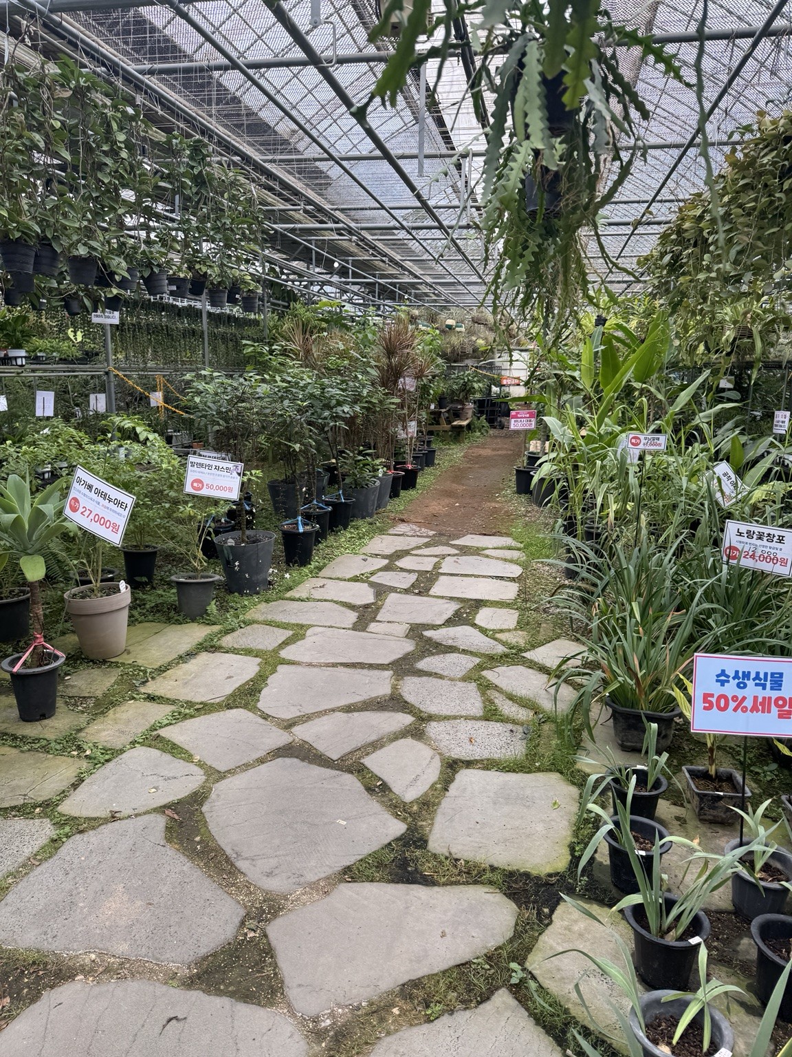 Greenhouse aisle at Joinfolia