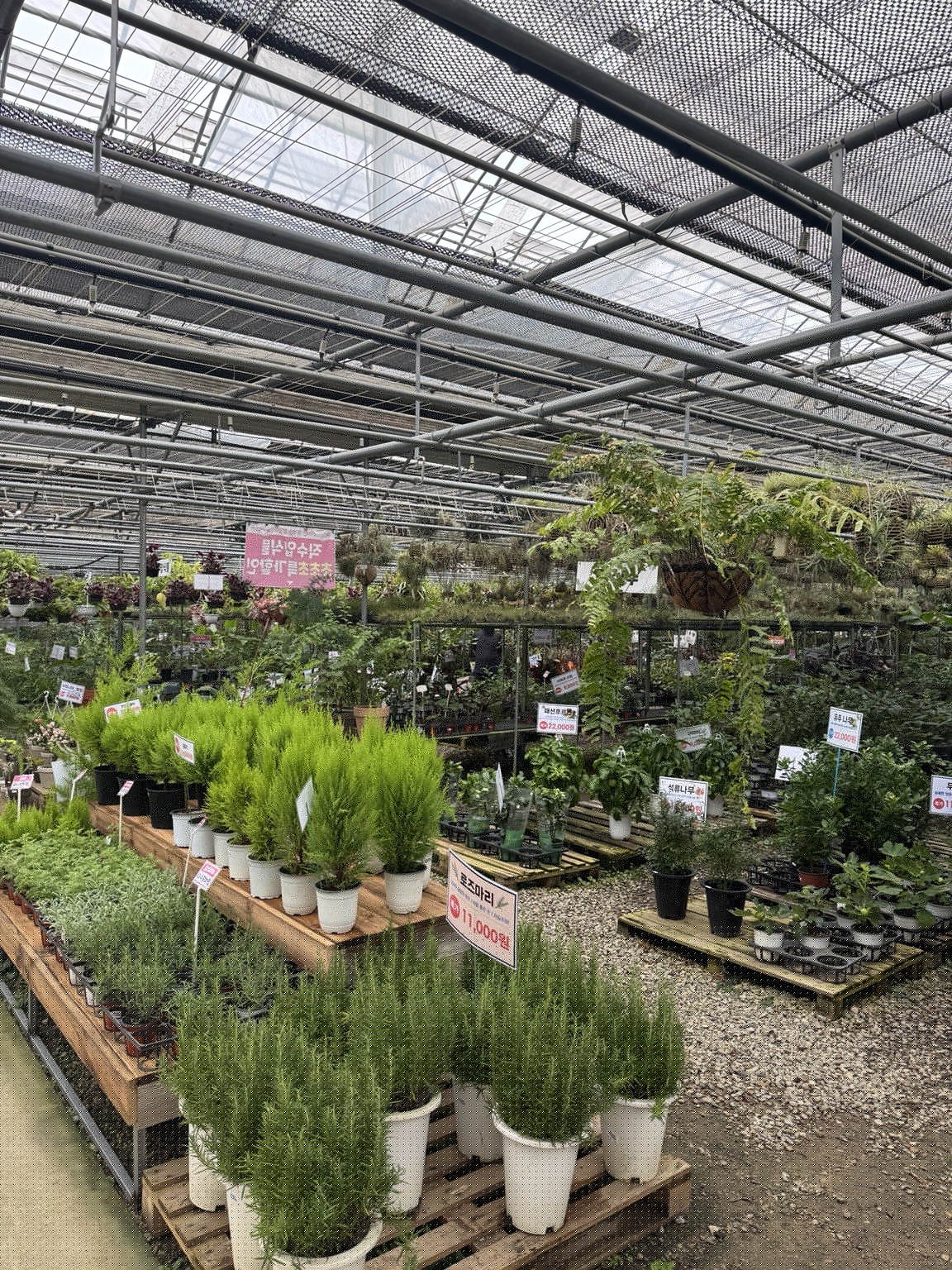 Herb and plant section