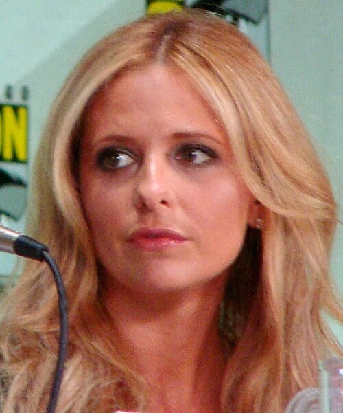 Comic-Con panel
