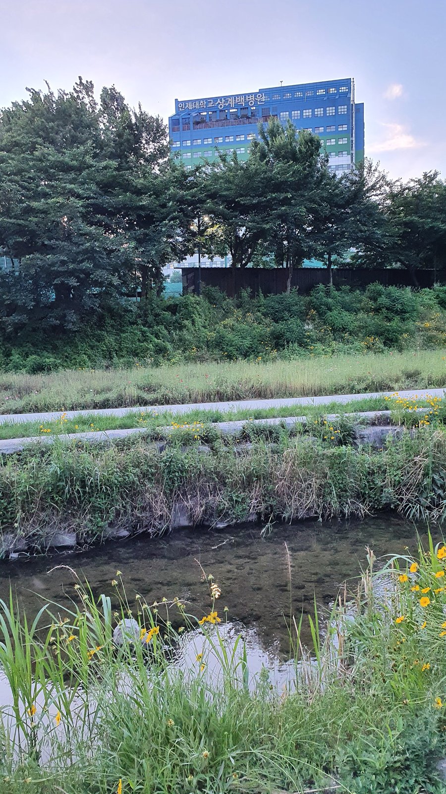 Danghyeoncheon stream
